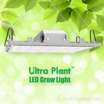 660nm Ultra Plant Led élèvent la lumière